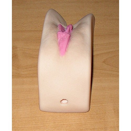 Monique Pocket Pussy 2