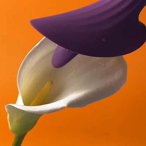 Flower of love