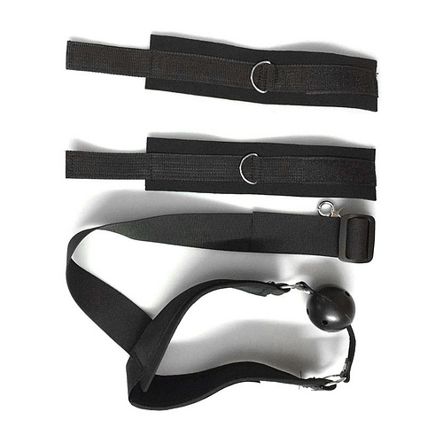 Product: Mouth to wrist restraints