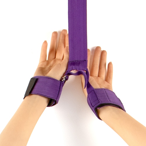 Product: Over-the-door restraints