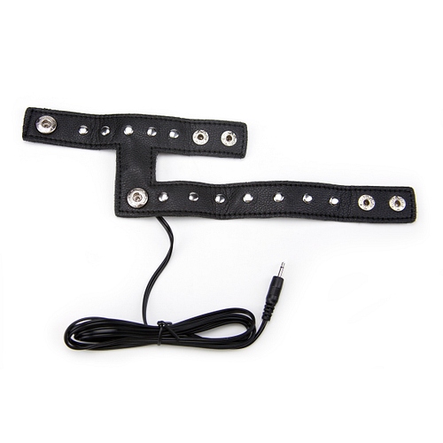 Product: ePlay leather cage attachment