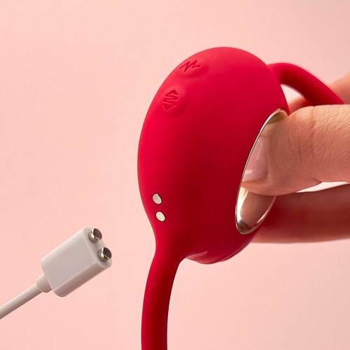 Power couple - Dual egg vibrator with control