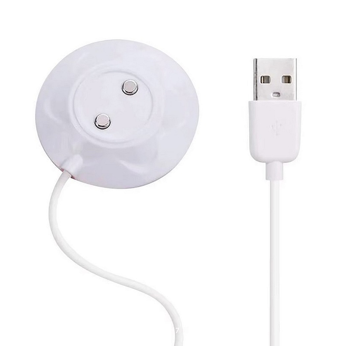 Product: USB magnet charger for Naughty rose