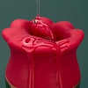 Lotus View #9