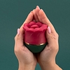 Lotus View #5