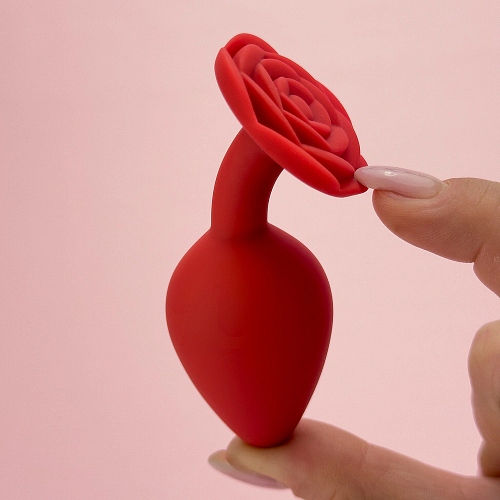Anal Toys