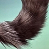 Vixen View #2