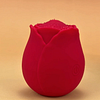 Rose pal pulsator View #2