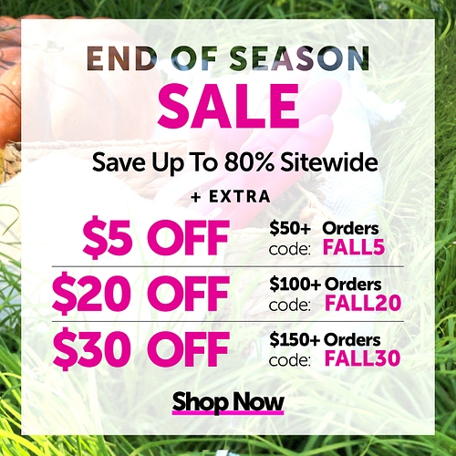 Save huge with edenfantasys coupons