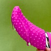 Naughty kisser View #5
