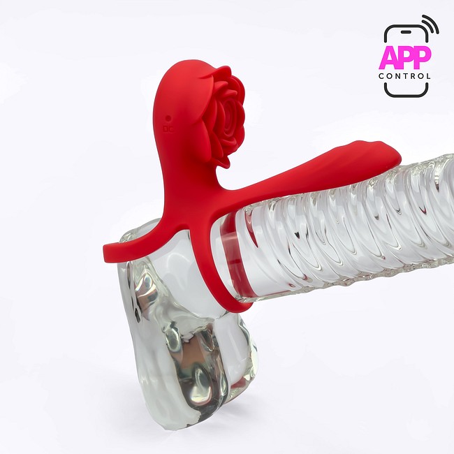 Product: Connection dual romance