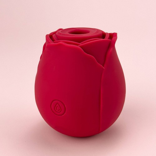 rose toys for women plusOne Rose Arouser Vibrator : Target main image 1