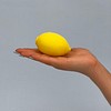 Naughty lemon View #7