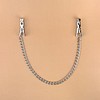 NC-ZI011 Nipple Clamps View #1