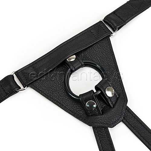 Product: Driver harness