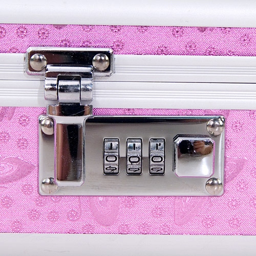 Product: Lockable sex toy case