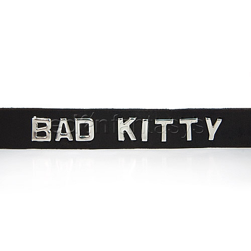 Product: Bad kitty wordband collar