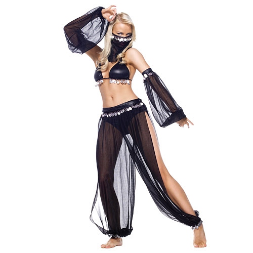 Product: Arabian dancer costume