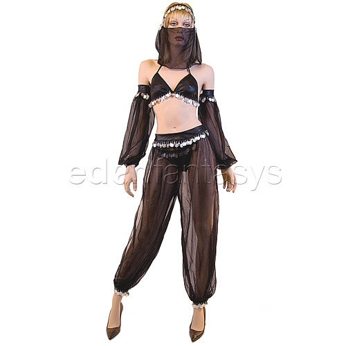 Product: Arabian dancer costume