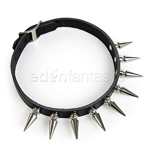 Product: Big spikey collar