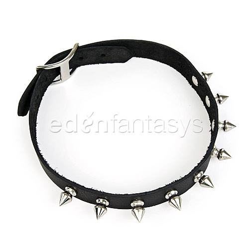 Product: Kittens grin collar