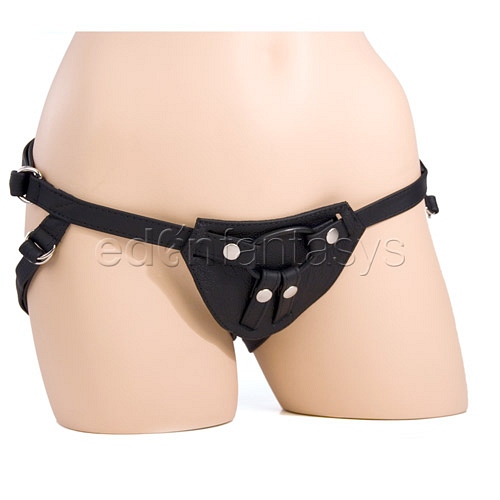 Product: Terra firma dee harness