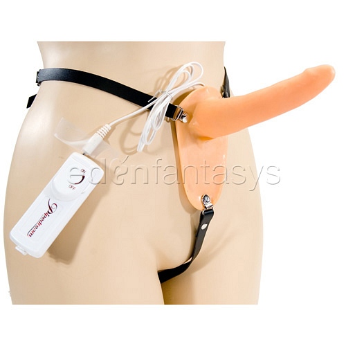 Product: Penetrix