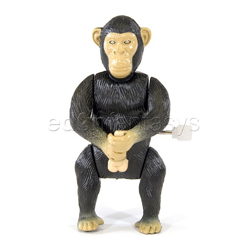 Product: Masturbating monkey