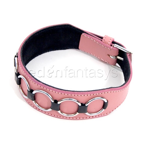 Product: Multiple "O" doggie collar