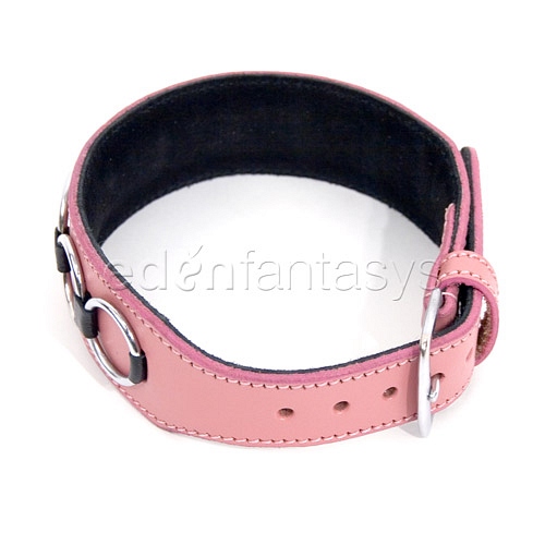 Product: Multiple "O" doggie collar