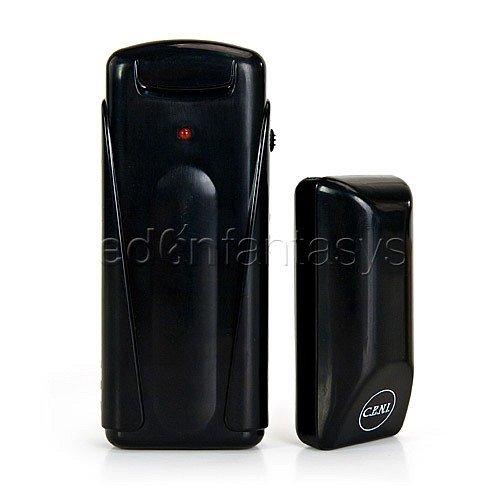 Remote vibrating wireless thong - Raunchy underwear