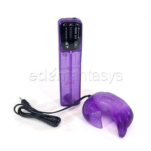 Product: Lighted dolphin