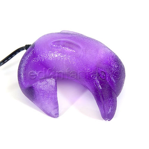 Product: Lighted dolphin