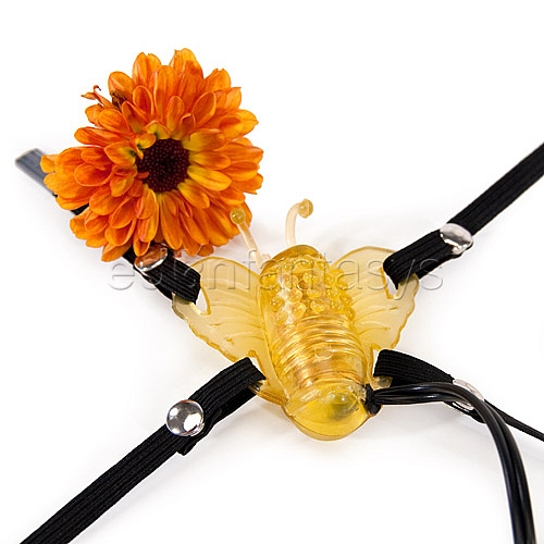 Product: Micro butterfly