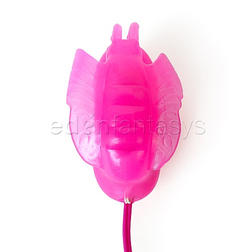 Product: Extreme butterfly frenzy bullet