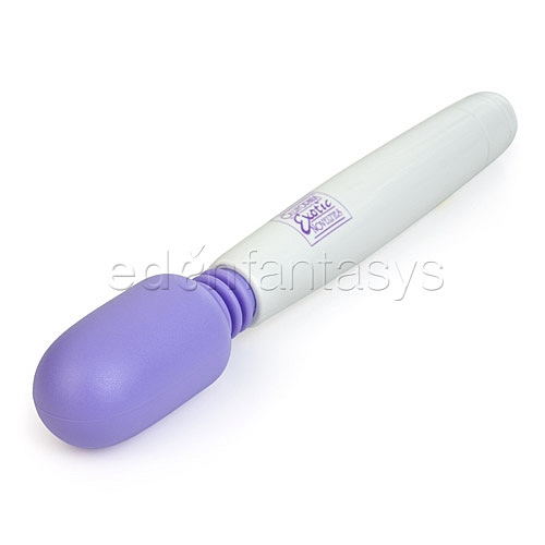 Product: My Mini-Miracle massager wand