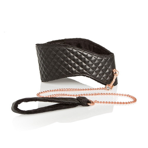 Product: Entice posture collar with leash