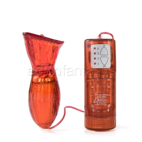 Product: Emma's passion lily