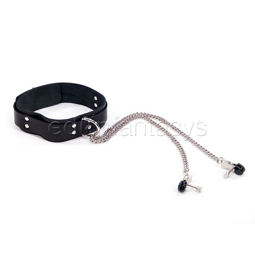 Product: Collar with clamps