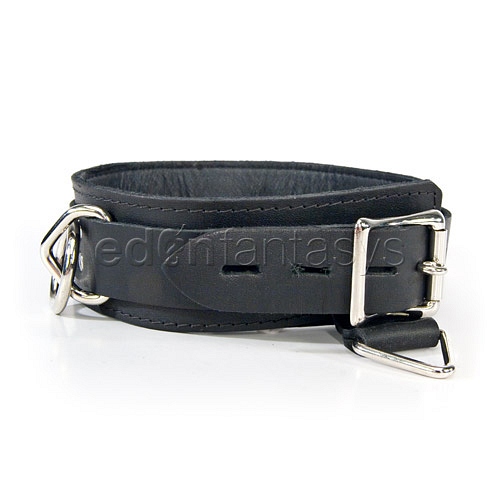 Product: Locking collar with mini bondage rings