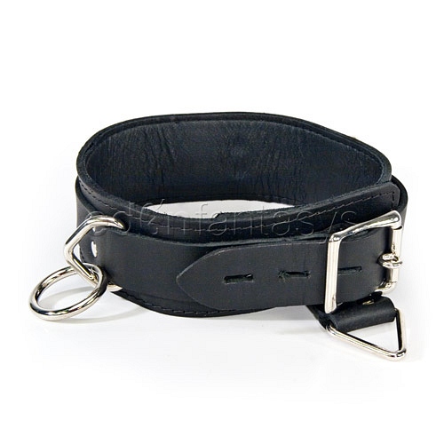 Product: Locking collar with mini bondage rings