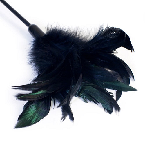 Product: Sex and Mischief feather spanker