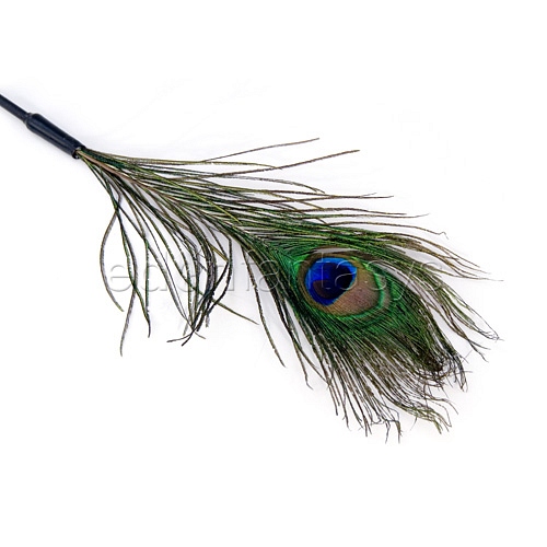 Product: Peacock tickler