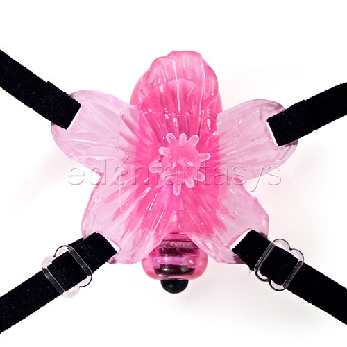 Product: Eden waterproof hot spot hibiscus