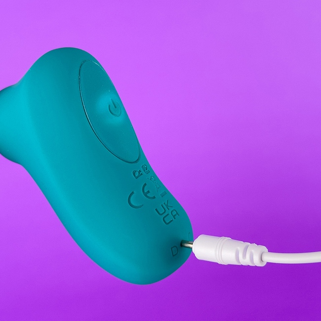 Product: USB charger for Mini suction delight