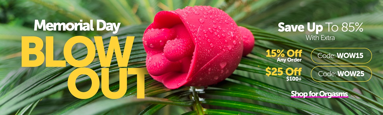 Bloom Into Pleasure
