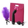 Sex toy kits for couples