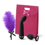 Sex toy kits for couples