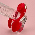 Rose loveworks crave