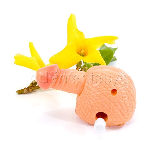Product: Pokin penis